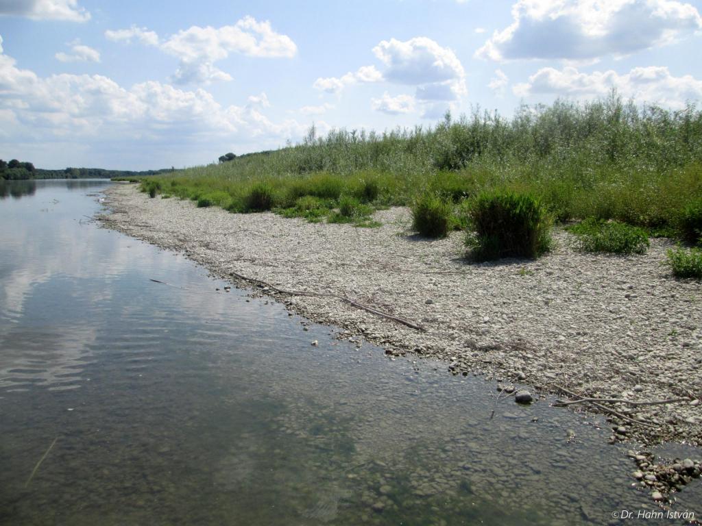 Dunaremete erdősödő kavicszátony