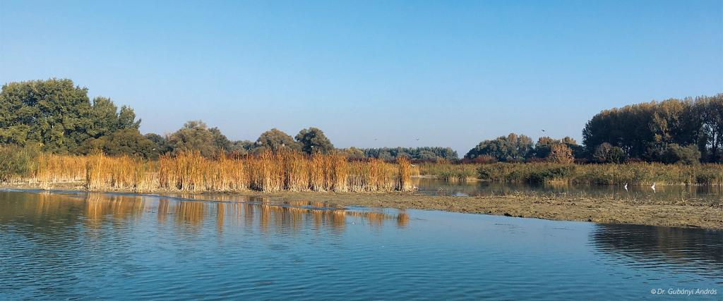 Slider_Gubanyi_5